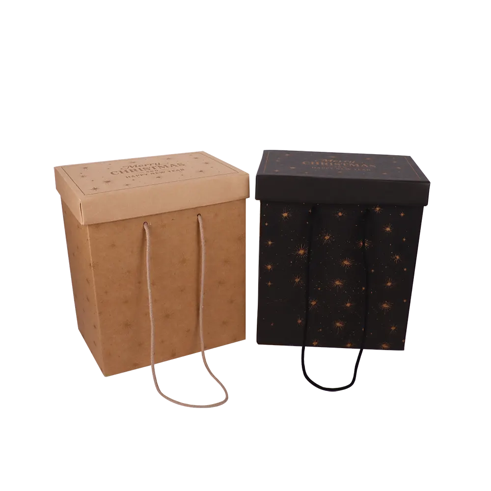 Boîtes Cadeaux de Noël